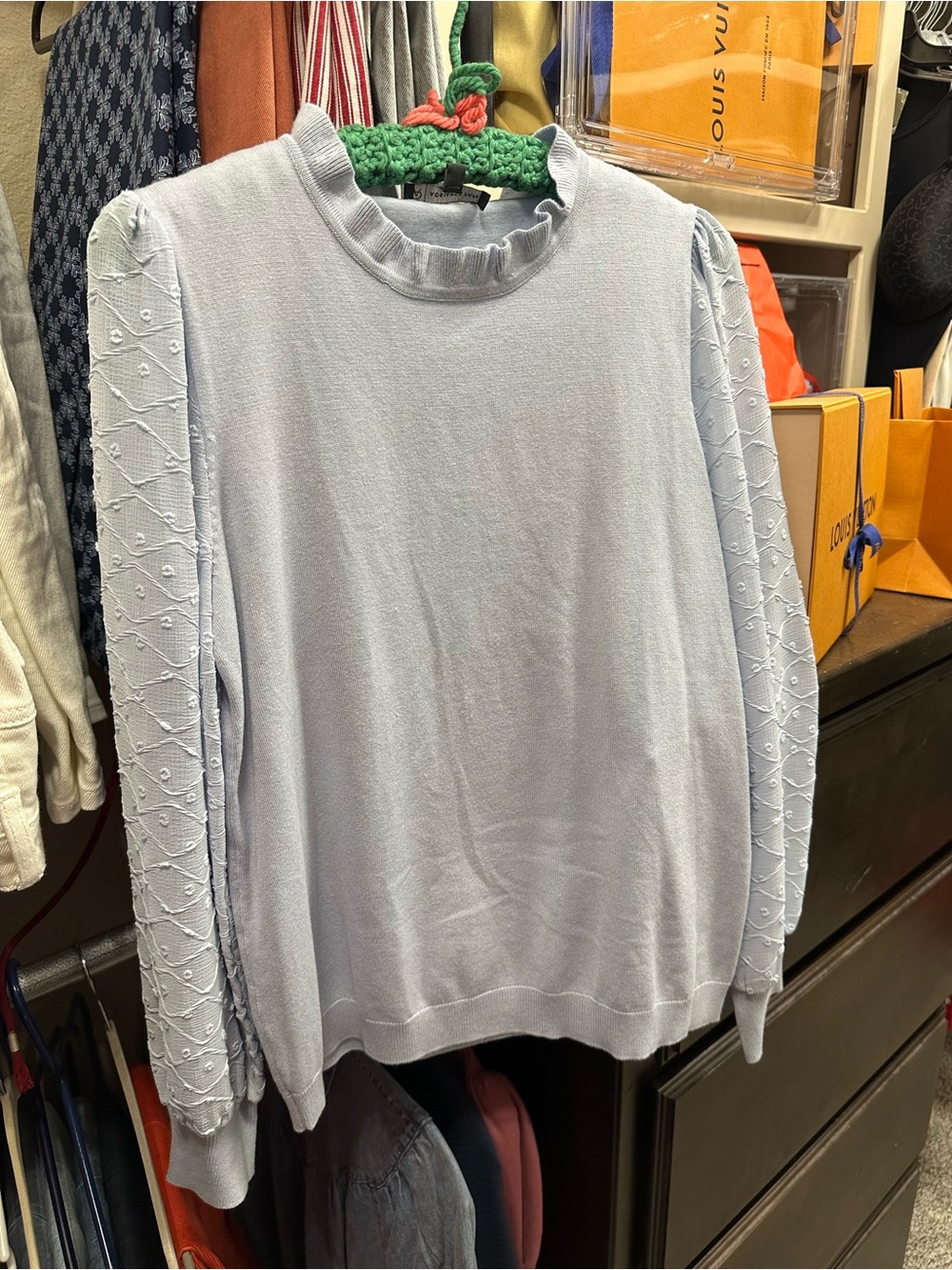 Adrianna Papell Light Blue Crewneck Sweater with Textured Sleeves